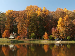 Accent: pond in fall (300px)
